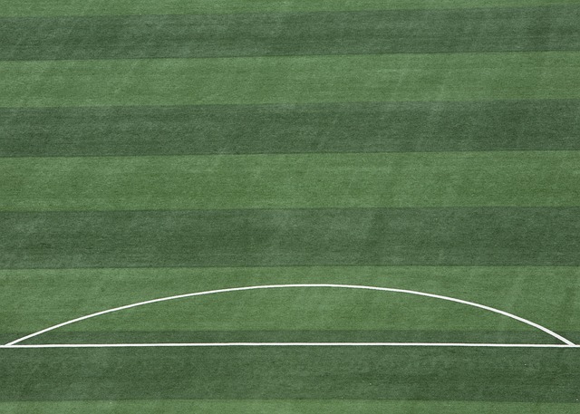 出强大的斗 出强大的斗