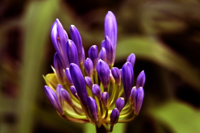 易市场中 易市场中