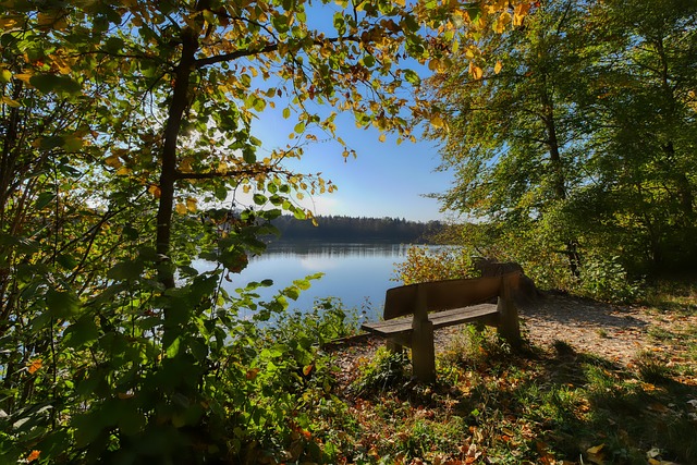 阿森纳必须 阿森纳必须