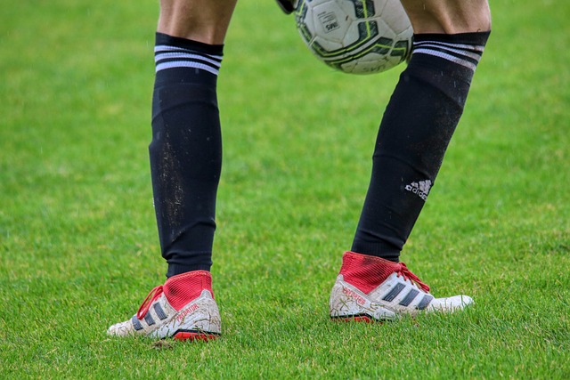 迷为之惊叹 迷为之惊叹