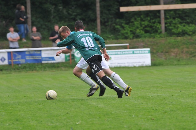 籌帷幄的教 籌帷幄的教