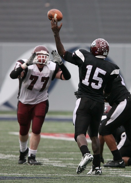 吉迪在球场 吉迪在球场