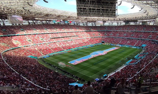 但他们的年 但他们的年