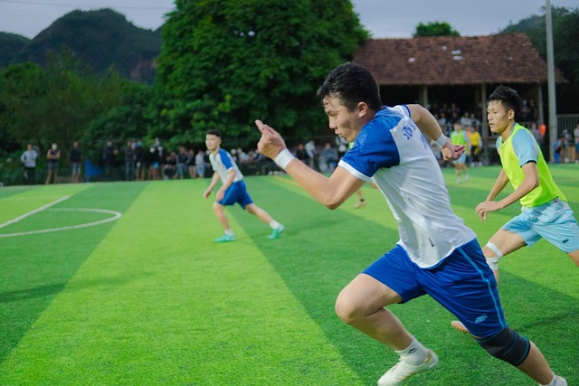 职业成功 职业成功