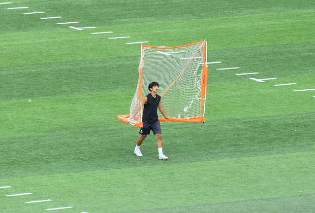 整体实力 整体实力